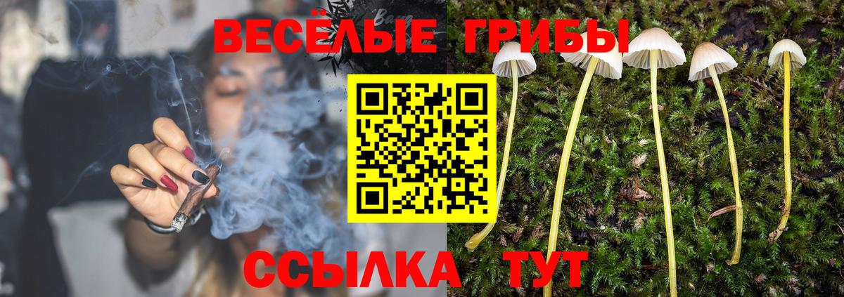 Галлюциногенные грибы прущие грибы  Вход с VPN  Кимовск  Псилоцибиновые грибы мицелий 